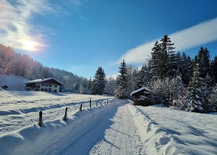 Kurz Апартаменты *